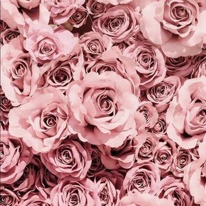 Meet your Posher, Chanel